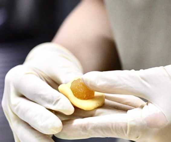 Signature Pineapple Ball